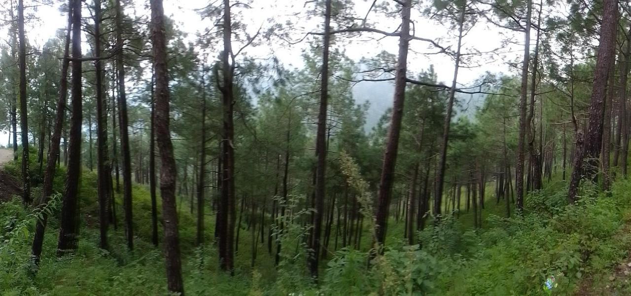 Thakur Homes- Couple And Family Friendly Homestay Шимла Екстериор снимка